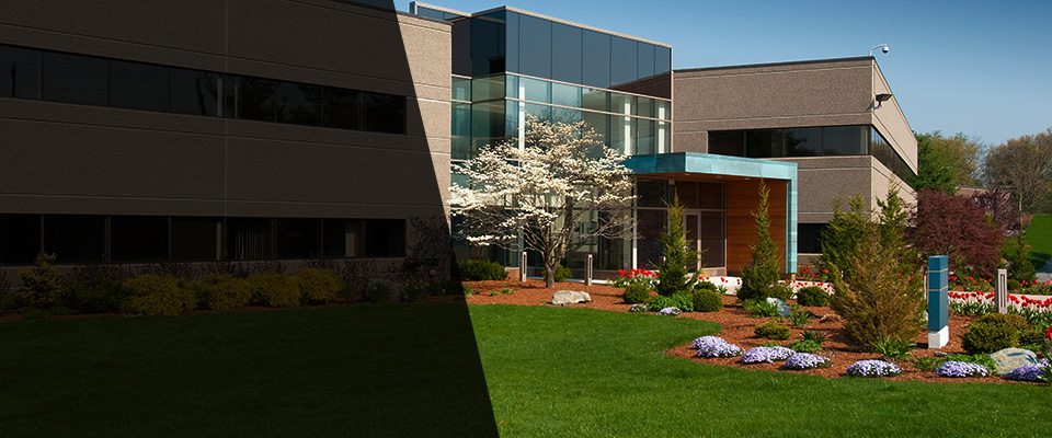 Saint Francis Landscapers