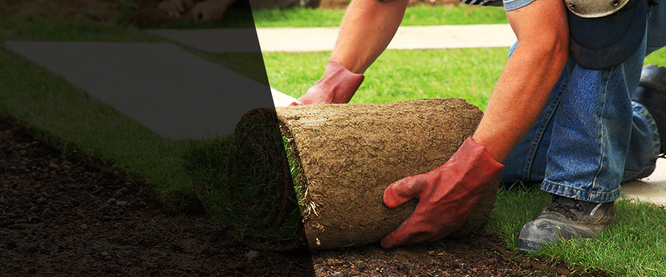 Saint Francis Landscapers